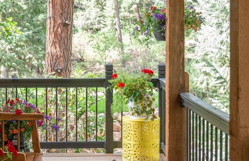 Palmer Lake Casa | Mtn Cottage | Hot Tub, Sauna | In-House Wellness