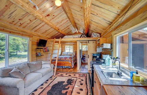 Trout Creek Apartamento | Mtn Views & Fireplace: Cozy Trout Creek Tiny Home