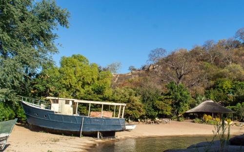 Monkey Bay Cabina | Mufasa Eco Lodge