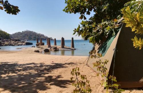Monkey Bay Cabina | Mufasa Eco Lodge