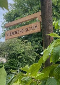Burton Casa | Mulberry House Farm The Garden Room