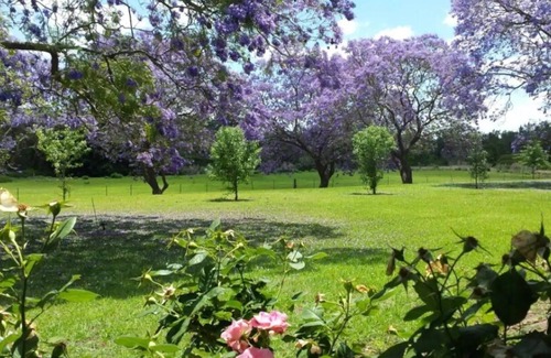 Mulgoa Casa | Mulgoa - Country Home