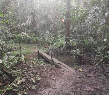 Marau Otro | Multiverso