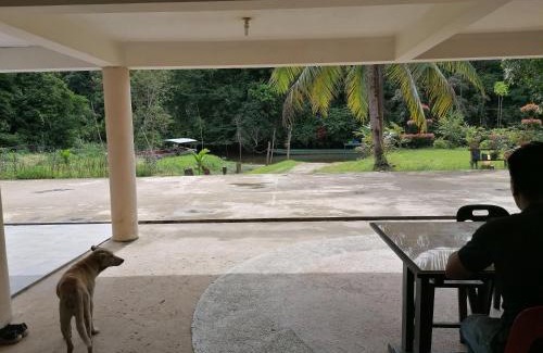 Mulu Casa | Mulu Diana Homestay