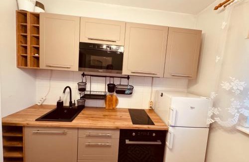 Otepaa Apartamento | Munamäe tänav 16-5