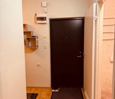 Otepaa Apartamento | Munamäe tänav 16-5