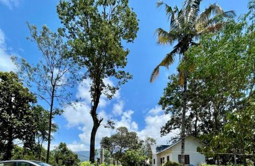 Kunchithanny Chalet De Esquí | Munnar Hills And Mist Views
