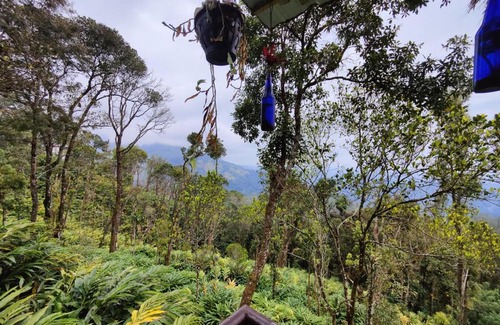 Devikolam Villa | Munnar TeaDrops Plantation Villa