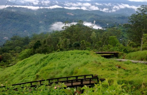 Devikolam Villa | Munnar TeaDrops Plantation Villa