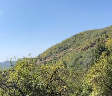 Sotrile Chalet De Esquí | Mura Doftana