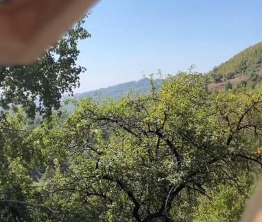 Sotrile Chalet De Esquí | Mura Doftana
