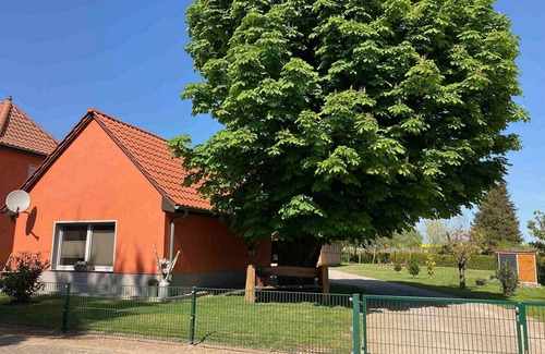 Muritz Casa | Müritz vacation at the chestnut tree in Sembzin