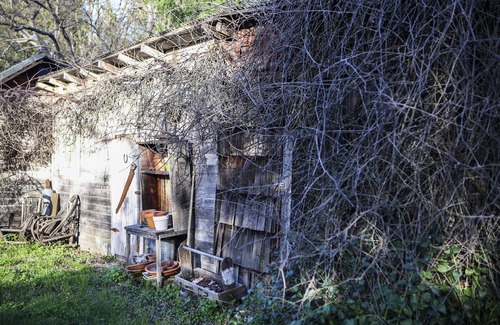 Murphys Cabaña | Murphys Wine Cottages: cabaña de pesca para 3 personas, precio económico