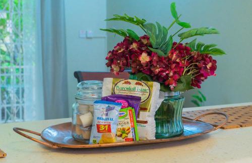 New Kingston Apartamento | Musgrave AnneX- comfy 1 bedroom apartments