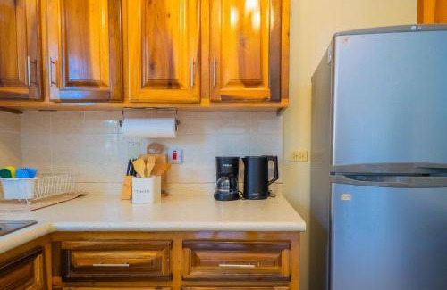 New Kingston Apartamento | Musgrave AnneX- comfy 1 bedroom apartments
