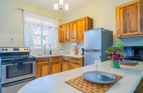 New Kingston Apartamento | Musgrave AnneX- comfy 1 bedroom apartments