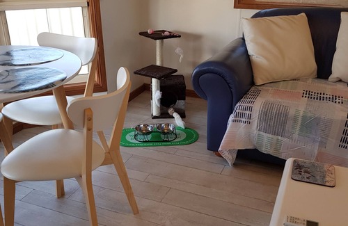 Rutherglen Cama Y Desayuno | Must Love Dogs B&b