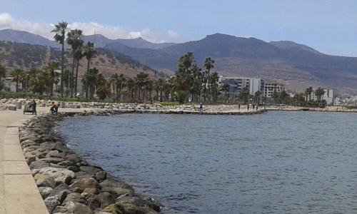 Nador Casa | Mustapha