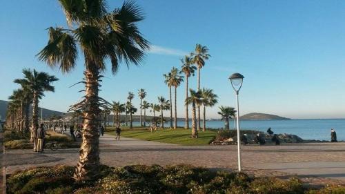 Nador Casa | Mustapha