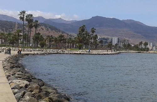 Nador Casa | Mustapha