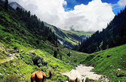 Kullu Casa | Muzik Cafe and Homestay
