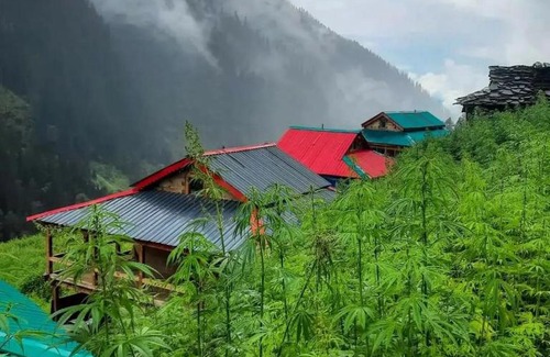 Kullu Casa | Muzik Cafe and Homestay