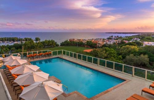 Coconut Grove Hotel | MVR Suite The Secret to Luxury Living Is Right Here