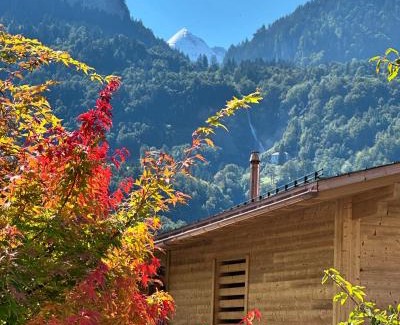 Meiringen Apartamento | My Chalet