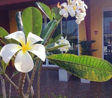 Makham Tia Complejo | My Home Resort