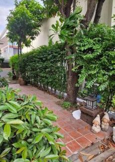 Phra Khanong Casa | My Homestay
