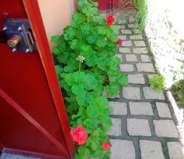 Analavory Apartamento | My Little House