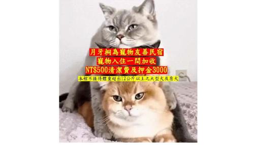 Ruifang Casa | My Ocean Villa 月牙桐海景民宿