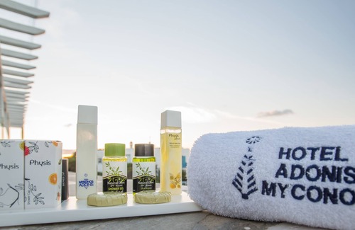 Mykonos Hotel | Mykonos Adonis Hotel