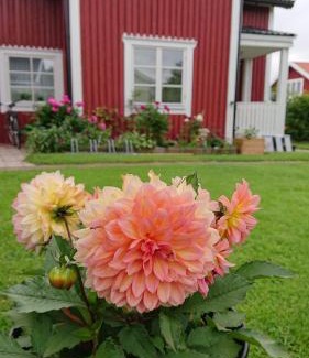 Borlange Cabina | Myntloftet med inglasad bubbelbad