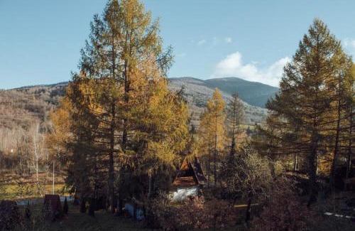 Wetlina Apartamento | Mysia Nora