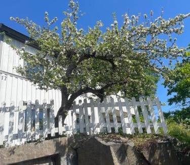 Uddevalla Apartamento | Mysig lägenhet, nära det mesta!