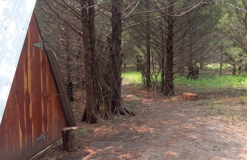 Elkland Alquiler De RV | Mystic Woods @B Berry Farms