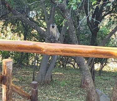 Maanhaarand Casa | Mzila Forest Creek