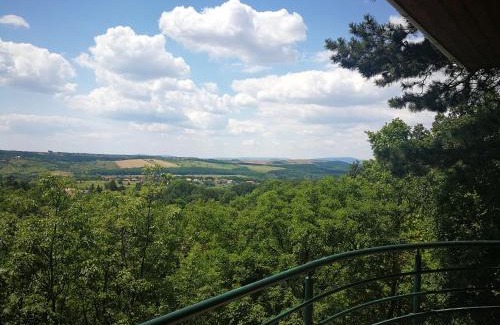 Orbanhegy Casa | Nárcisz 1