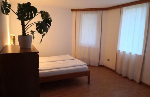Orbanhegy Casa | Nárcisz 1