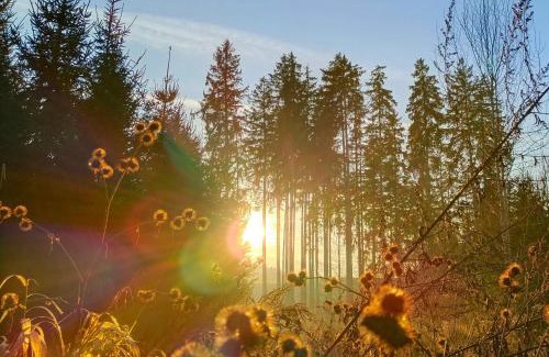 Regau Apartamento | Nähe Traunsee-Attersee OGO