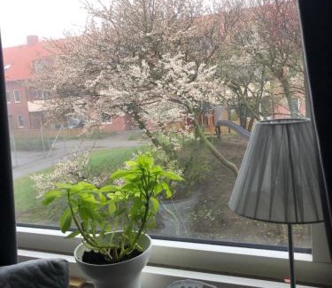 Gamla Staden-Sandskogen Casa | Nära till allt, i delad lägenhet