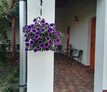 Nagykoru Casa | Négy Tücsök Vendégház