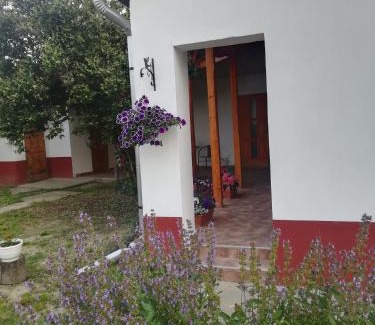 Nagykoru Casa | Négy Tücsök Vendégház