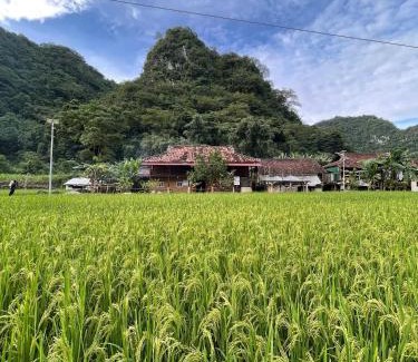 Quang Uyen Chalet De Esquí | Nùng An homestay-Nùng ethnic group
