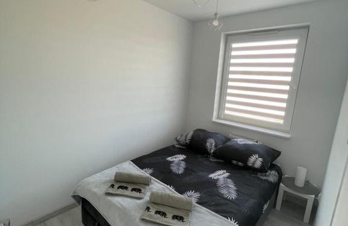 Plock Apartamento | N° 60