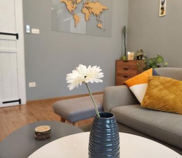 Arad Apartamento | N&A City Apartment