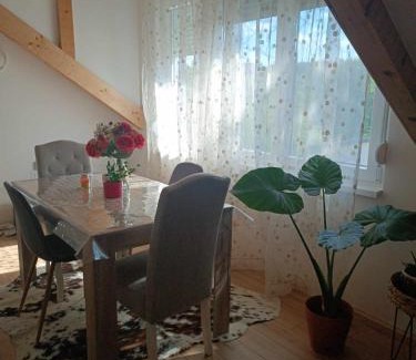 Vrdnik Apartamento | Naš san
