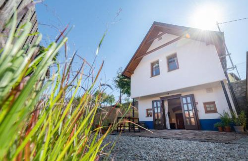 Pavlov Casa | Na cestě