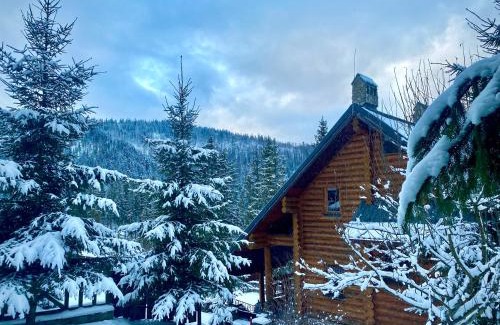 Plavya Villa | Na Gori